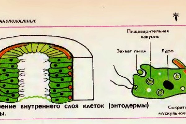 Настоящая ссылка на кракен