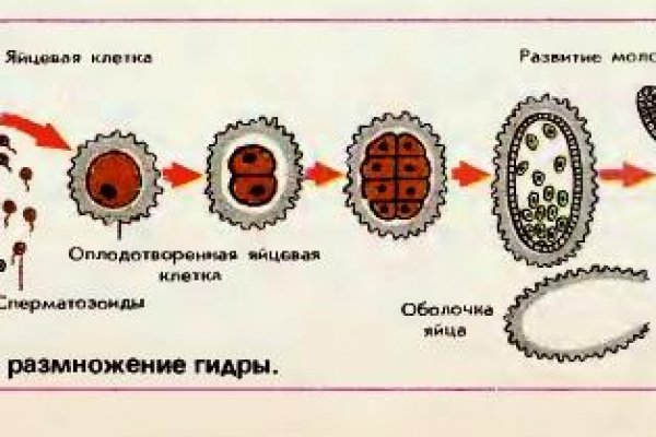 Кракена net